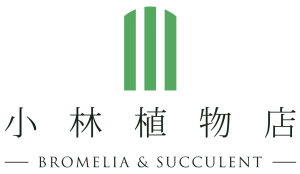 スクリーンショット 2015-02-19 12.50.45